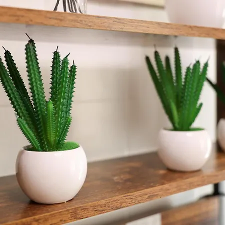 Dina House Quinzico 나자레