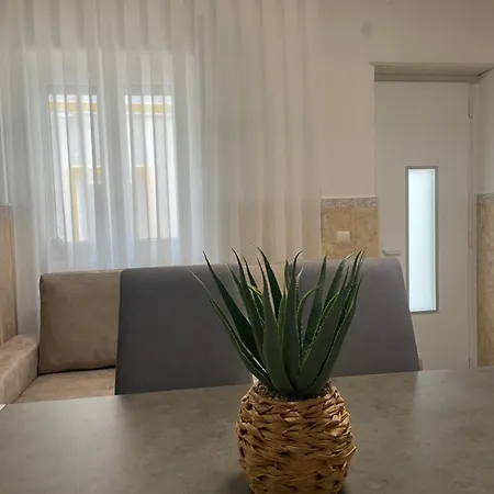 Dina House Quinzico Nazare