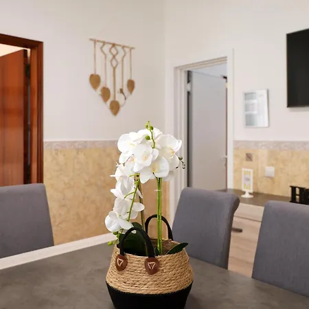 Dina House Quinzico * نازاريه