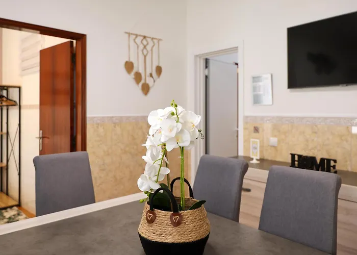 Dina House Quinzico * 나자레